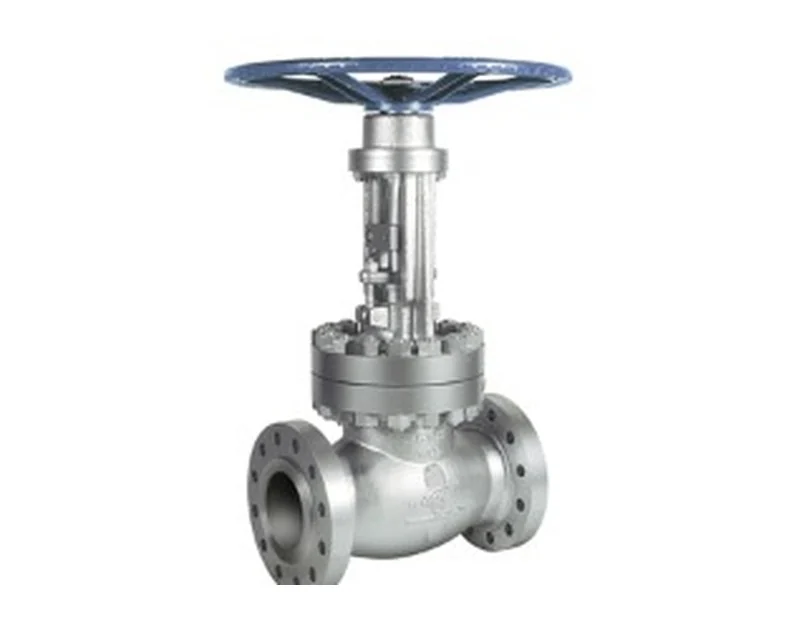 Gate Valve product visual | Bhawani Steel India