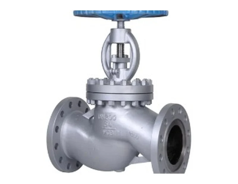 Globe Valve product visual | Bhawani Steel India