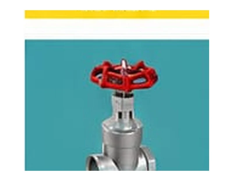 SS Gate Valve product visual | Bhawani Steel India