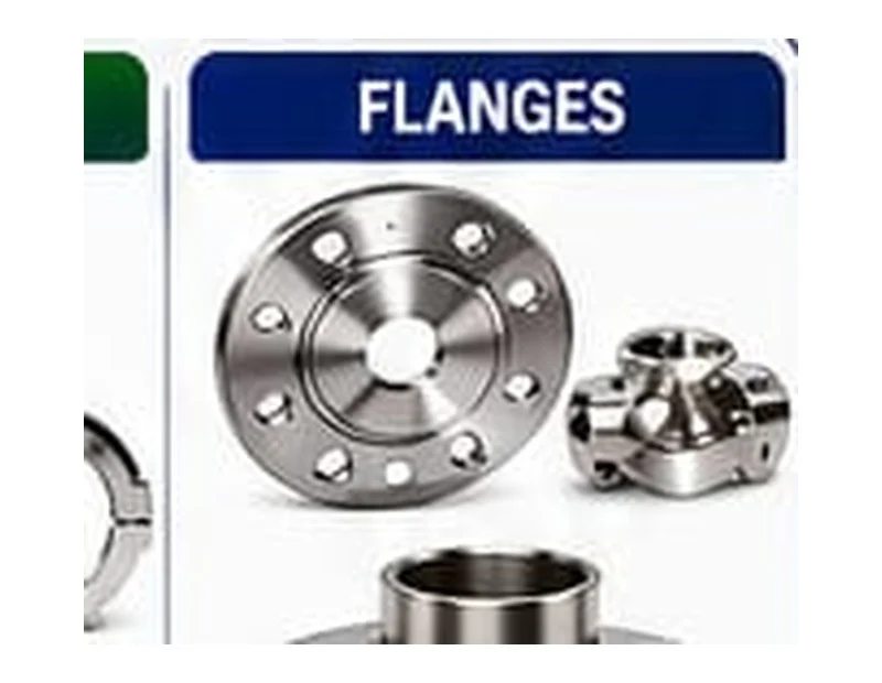 Stainless Steel Flanges product reference image
